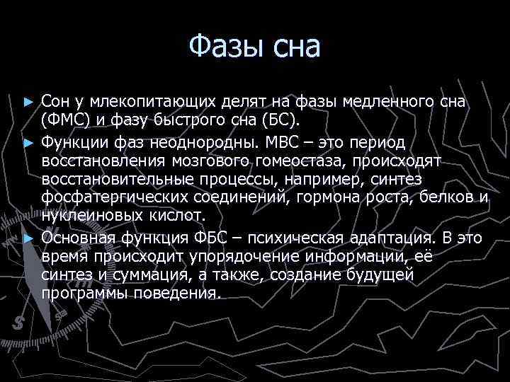 Фазы сна Сон у млекопитающих делят на фазы медленного сна (ФМС) и фазу быстрого