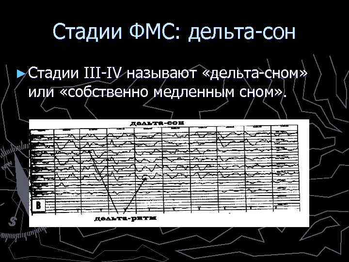 Стадии ФМС: дельта-сон ► Стадии III-IV называют «дельта-сном» или «собственно медленным сном» . 
