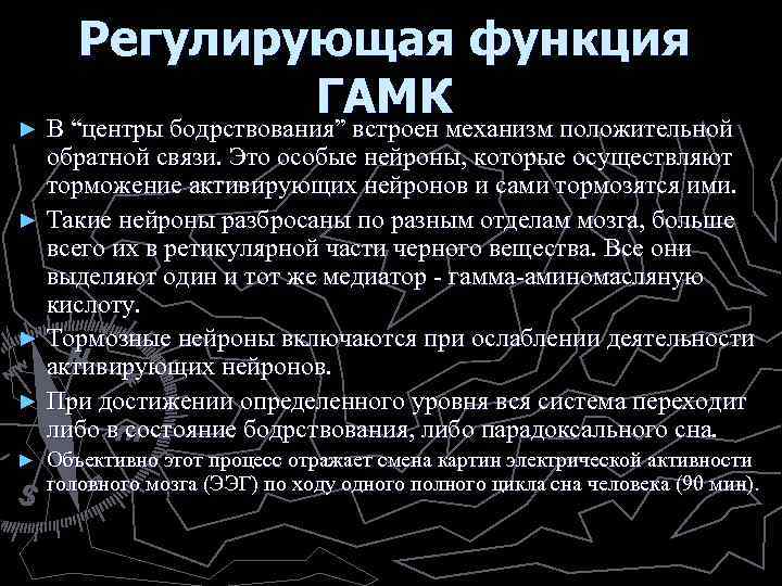 Регулирующая функция ГАМК ► В “центры бодрствования” встроен механизм положительной обратной связи. Это особые