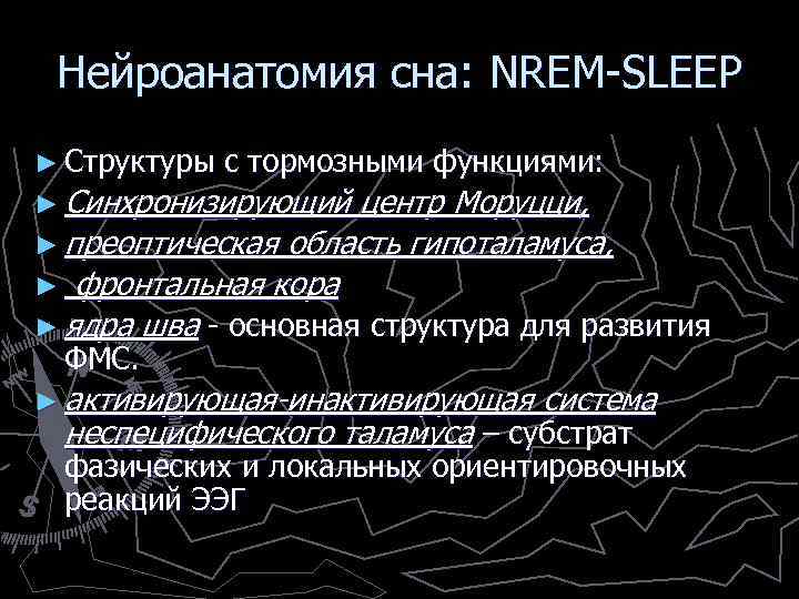 Нейроанатомия сна: NREM-SLEEP ► Структуры с тормозными функциями: ► Синхронизирующий центр Моруцци, ► преоптическая