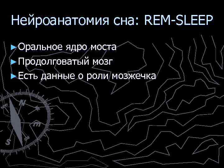 Нейроанатомия сна: REM-SLEEP ► Оральное ядро моста ► Продолговатый мозг ► Есть данные о
