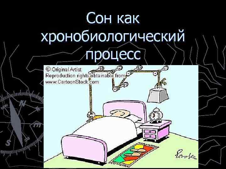 Сон как хронобиологический процесс 