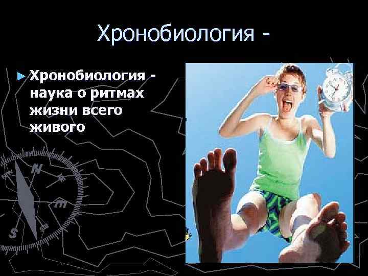 Хронобиология - ► Хронобиология наука о ритмах жизни всего живого - 