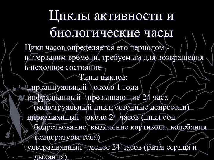 Циклы активности и биологические часы Цикл часов определяется его периодом - интервалом времени, требуемым