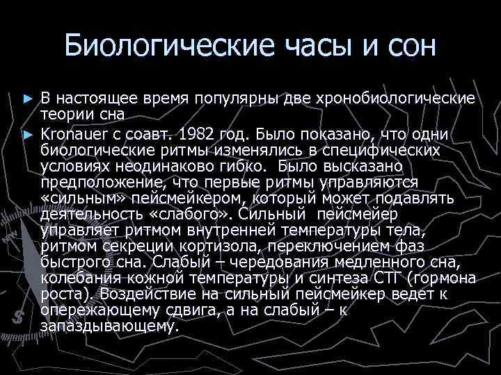 Биологические часы и сон В настоящее время популярны две хронобиологические теории сна ► Kronauer