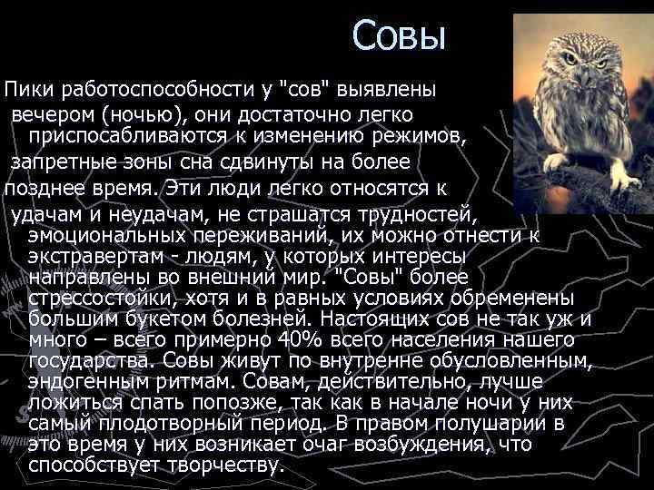  Совы Пики работоспособности у 