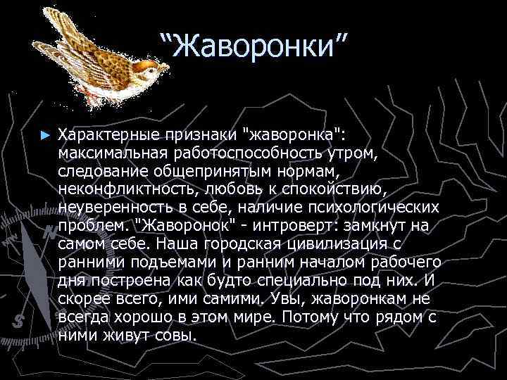 “Жаворонки” ► Характерные признаки 