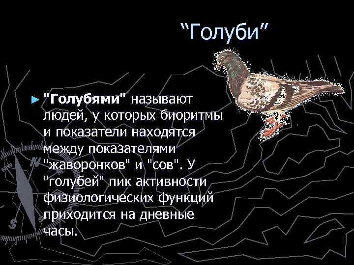  “Голуби” ► 