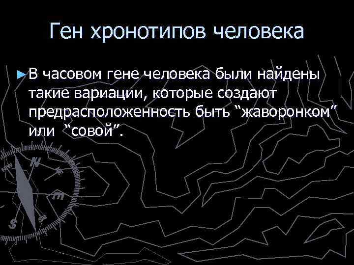 Ген хронотипов человека ► В часовом гене человека были найдены такие вариации, которые создают