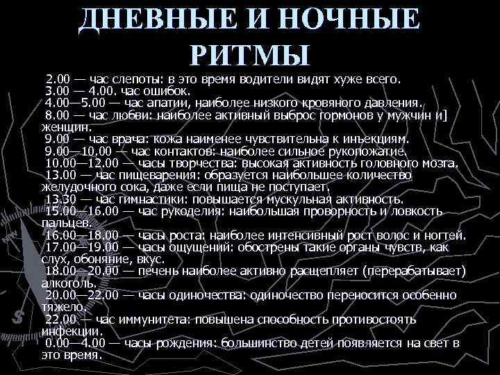 ДНЕВНЫЕ И НОЧНЫЕ РИТМЫ 2. 00 — час слепоты: в это время водители видят