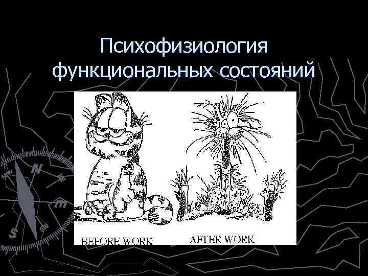 Психофизиология функциональных состояний 