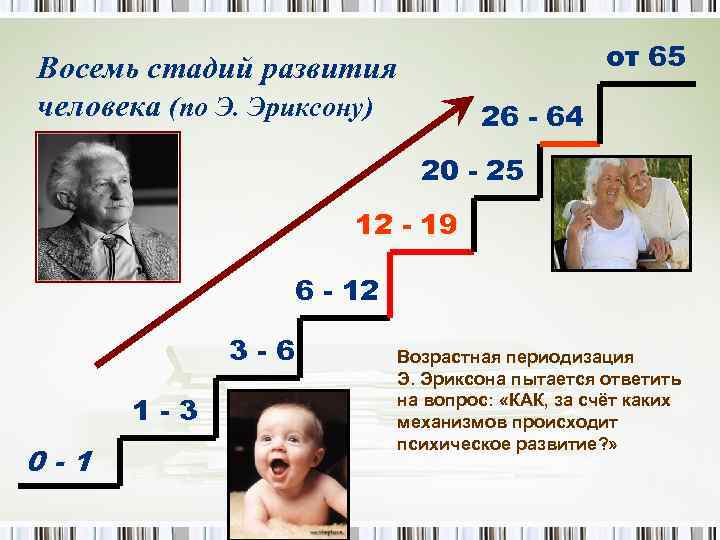 от 65 Восемь стадий развития человека (по Э. Эриксону) 26 - 64 20 -