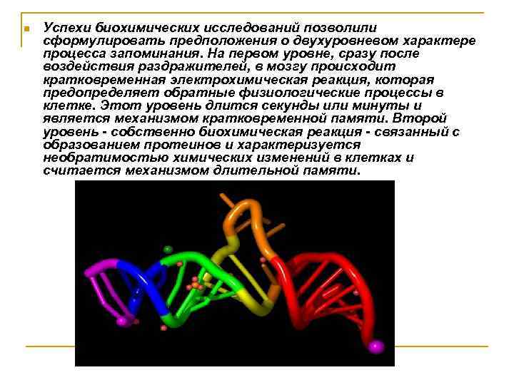n Успехи биохимических исследований позволили сформулировать предположения о двухуровневом характере процесса запоминания. На первом