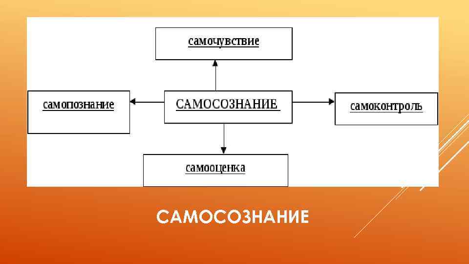 САМОСОЗНАНИЕ 