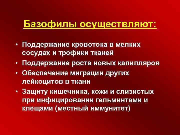 Базофилы осуществляют: • Поддержание кровотока в мелких сосудах и трофики тканей • Поддержание роста