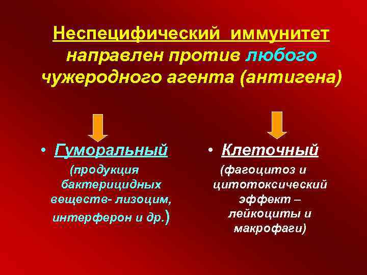 Против направлен. Неспецифический гуморальный иммунитет. Неспецифический – направлен против. Гуморальный иммунитет интерферон лизоцим. Гуморальный иммунитет реализуется с помощью.