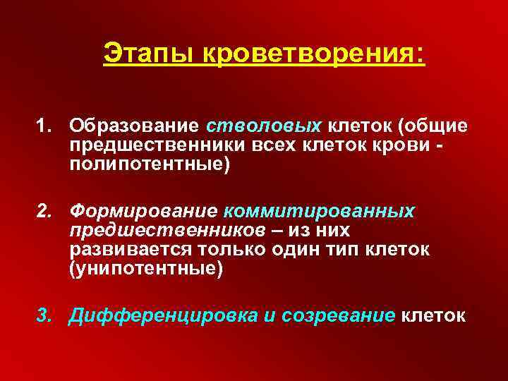 Динамическое постоянство внутренней среды организма