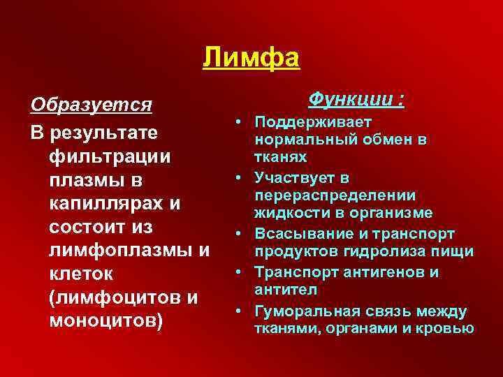 Лимфа Образуется В результате фильтрации плазмы в капиллярах и состоит из лимфоплазмы и клеток