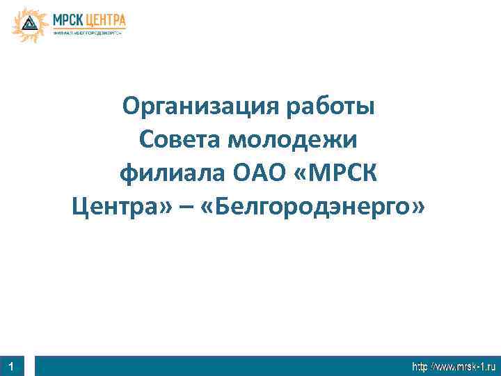 Организация работы Совета молодежи филиала ОАО «МРСК Центра» – «Белгородэнерго» 1 