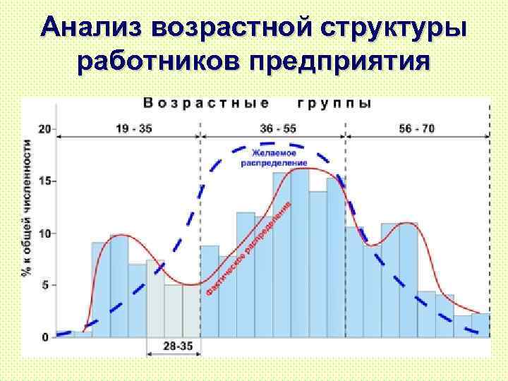 Анализ возрастной структуры работников предприятия 