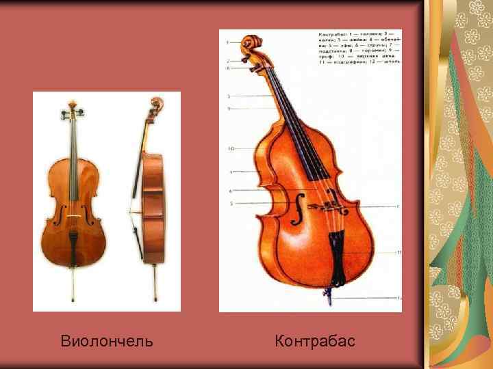 Виолончель Контрабас 