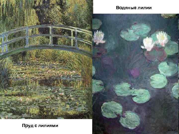 Водяные лилии Пруд с лилиями 