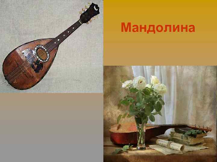 Мандолина 