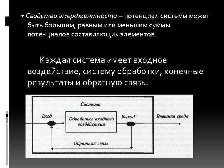 Система со. Свойством эмерджентности обладают системы. Входное воздействие. Закон эмерджентности в менеджменте. Система имеет свойство эмерджентности.