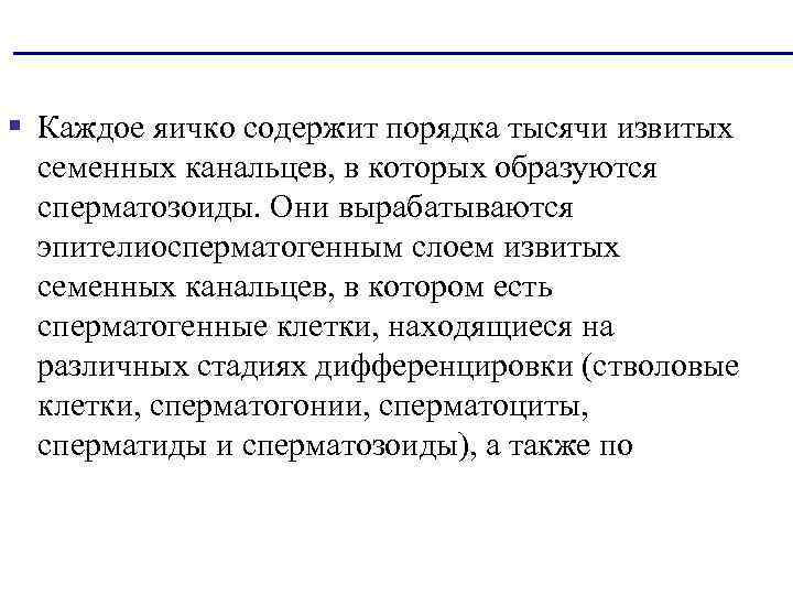 § Каждое яичко содержит порядка тысячи извитых семенных канальцев, в которых образуются сперматозоиды. Они
