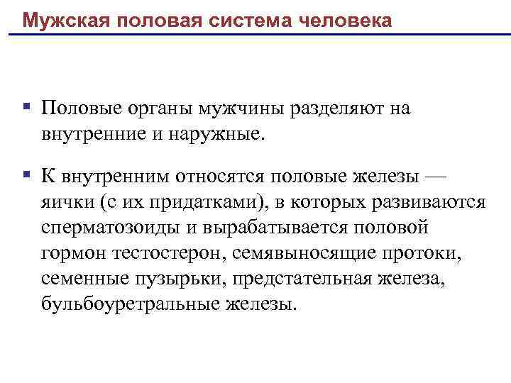 Мужская половая система человека § Половые органы мужчины разделяют на внутренние и наружные. §