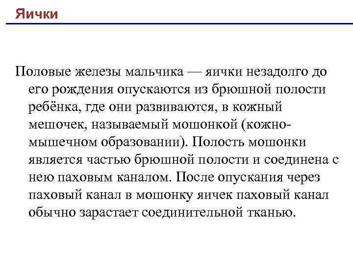 Яички Половые железы мальчика — яички незадолго до его рождения опускаются из брюшной полости