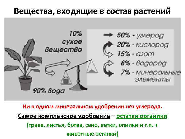 Вещества, входящие в состав растений Ни в одном минеральном удобрении нет углерода. Самое комплексное