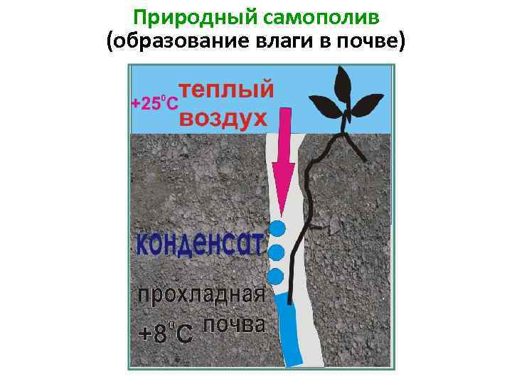 Природный самополив (образование влаги в почве) 