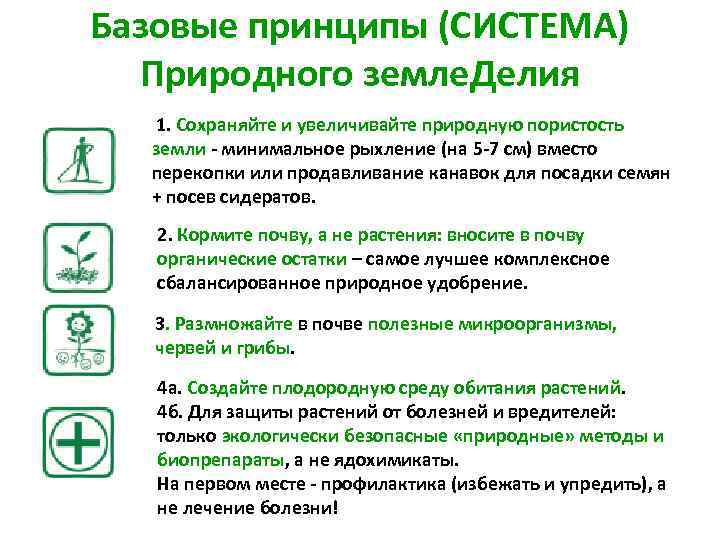 Базовые принципы (СИСТЕМА) Природного земле. Делия 1. Сохраняйте и увеличивайте природную пористость земли -