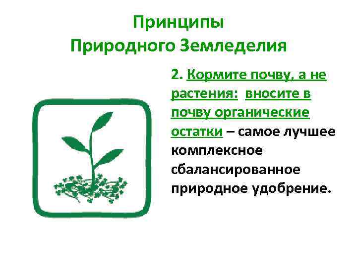 Суть природного земледелия. Принципы природного земледелия. Принципы органического земледелия. Органическое земледелие схема.