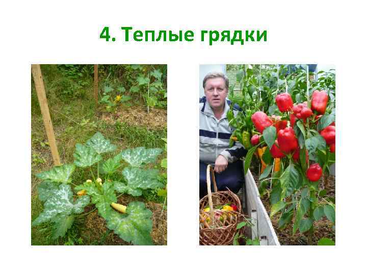 4. Теплые грядки 