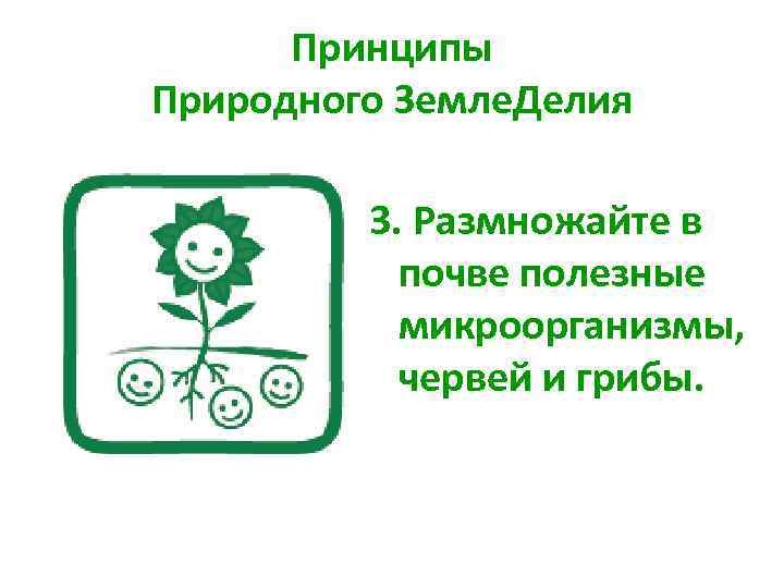 Принципы Природного Земле. Делия 3. Размножайте в почве полезные микроорганизмы, червей и грибы. 