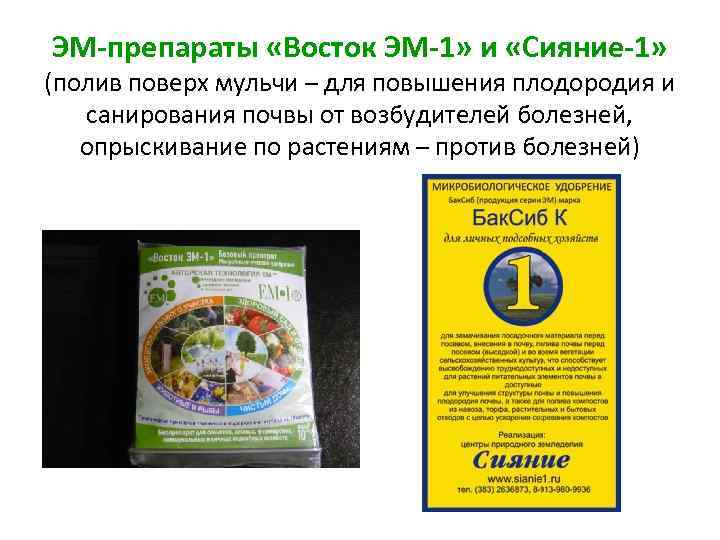 ЭМ-препараты «Восток ЭМ-1» и «Сияние-1» (полив поверх мульчи – для повышения плодородия и санирования