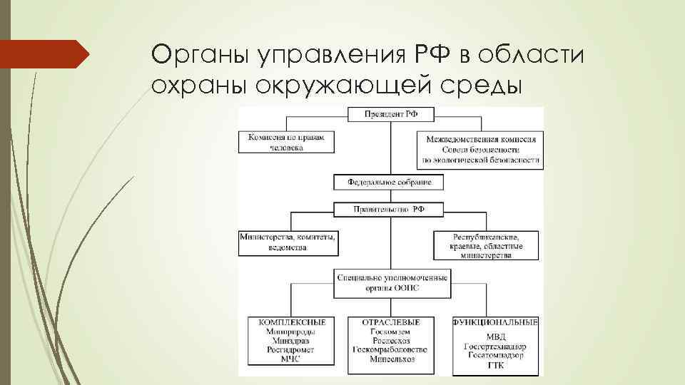 В сфере охраны окружающей