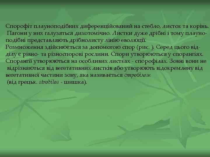 Спорофіт плауноподібних диференційований на стебло, листок та корінь. Пагони у них галузяться дихотомічно. Листки