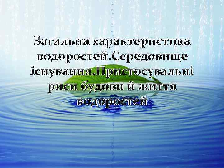 Загальна характеристика водоростей. Середовище існування. Пристосувальні риси будови й життя водоростей 