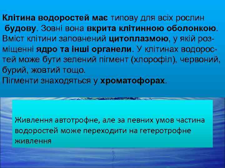 Клітина водоростей має типову для всіх рослин будову. Зовні вона вкрита клітинною оболонкою. Вміст