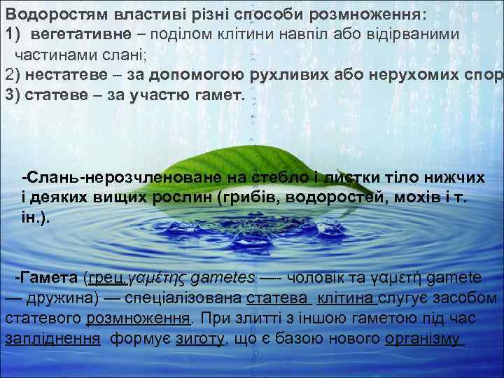 Водоростям властиві різні способи розмноження: 1) вегетативне – поділом клітини навпіл або відірваними частинами