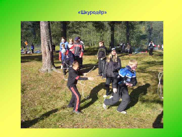  «Шкуродёр» 