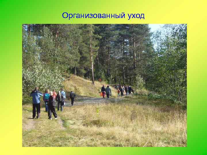 Организованный уход 