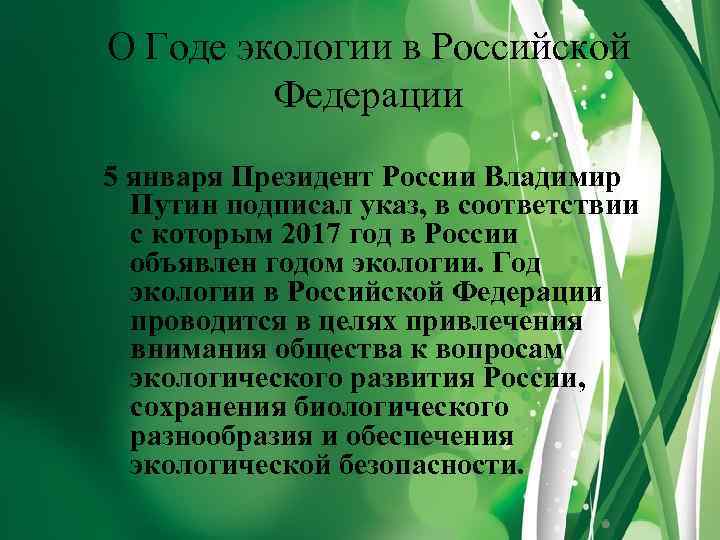 О Годе экологии в Российской Федерации 5 января Президент России Владимир Путин подписал указ,