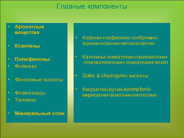 Главные компоненты • Ароматные вещества • Ксантины • Полифенолы: • Флавоны • Феноловые кислоты