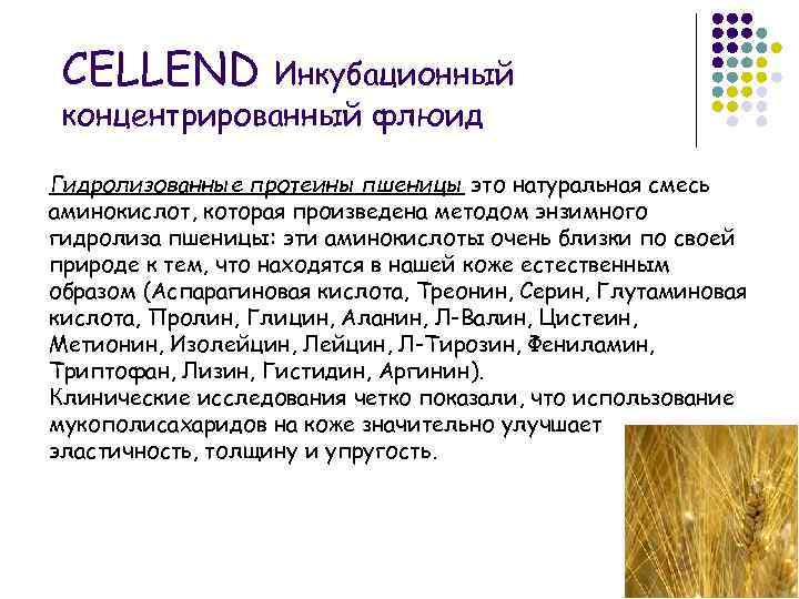 CELLEND Инкубационный концентрированный флюид Гидролизованные протеины пшеницы это натуральная смесь аминокислот, которая произведена методом