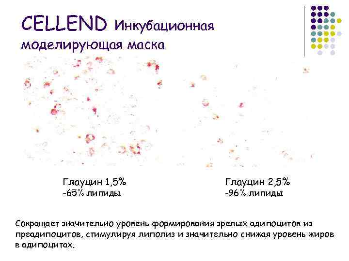 CELLEND Инкубационная моделирующая маска Глауцин 1, 5% -65% липиды Глауцин 2, 5% -96% липиды