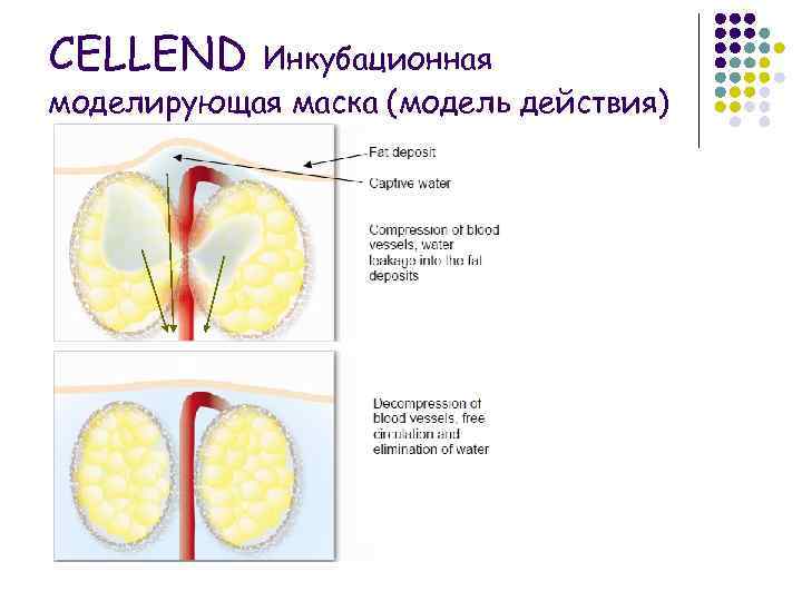 CELLEND Инкубационная моделирующая маска (модель действия) 